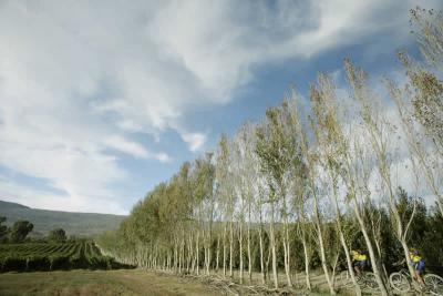 Cape Epic 2007